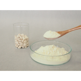 植物性乳酸菌OS-1010　健食原料OEM展2026