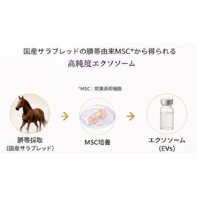 化粧品原料『ウマ臍帯由来エクソソーム』