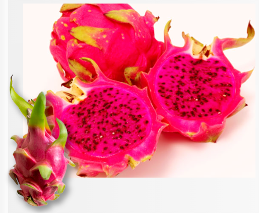 【パーソナルケア向け】ドラゴンフルーツエクソソーム