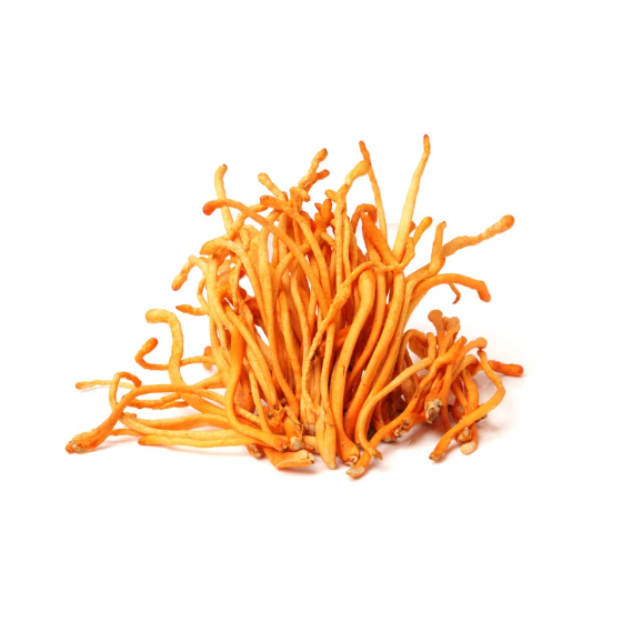 スクリーンショット 2026-01-19 16.12.00.png