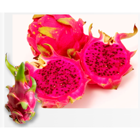 INCI取得 植物由来原料『ドラゴンフルーツカルスエクソソーム』