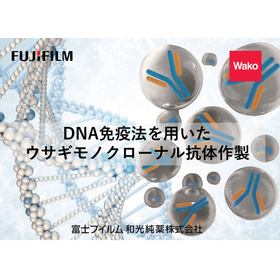 ウサギモノクローナル抗体作製受託サービス