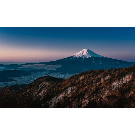 スクリーンショット 2025-11-27 153319.png