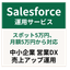 Salesforce運用サービス