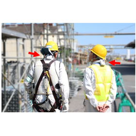 Case Study on the Introduction of W...