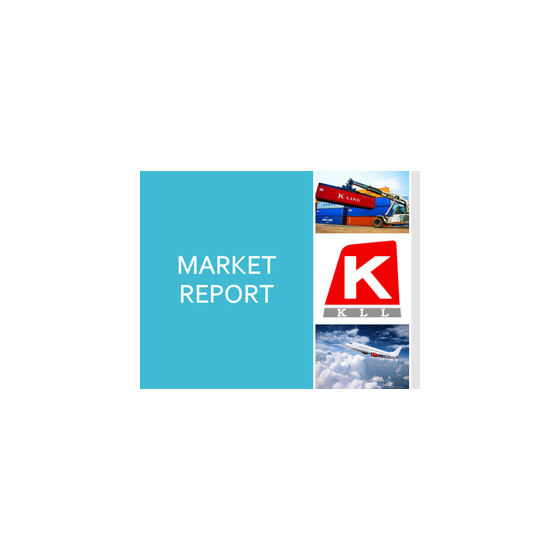 レポート 表紙.png