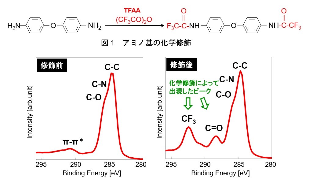 分析事例】高分子材料の表面官能基の分析 （化学修飾-XPS） カネカ