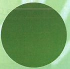 抹茶加工品『抹茶ペーストS』