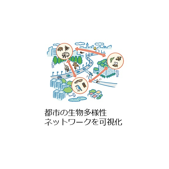 エコロジカルネットワーク.jpg