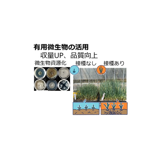 有用微生物の活用.jpg