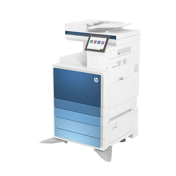E786dn.jpg