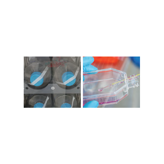 image_01.png