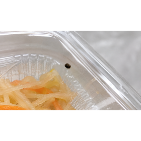 食品製造業における画像解析を活用した異物の位置関係検証