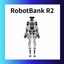 Humanoid Robot R2