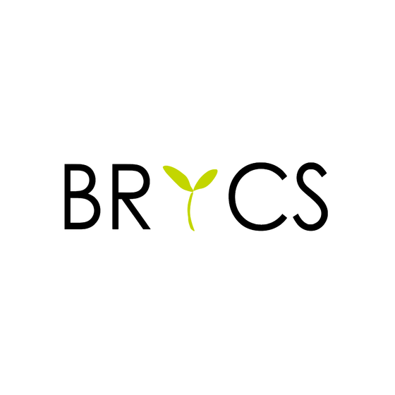 logo_BRICS_RGB-1.png