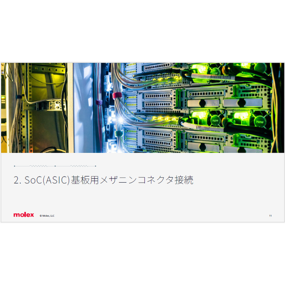 レスター2.png