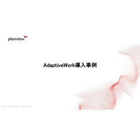 What is project management that enc...