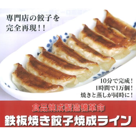 Completed in 10 minutes! Circulating superheated steam roaster for grilled dumpling cooking line.