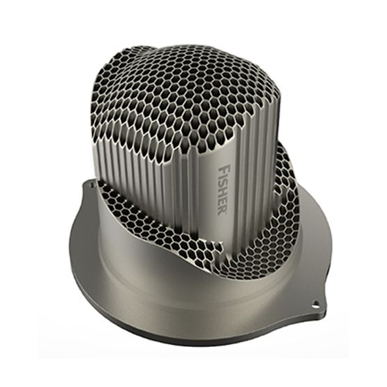 fisher cavitrol hex trim 1.jpg