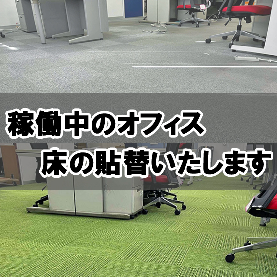 560pxl_貼替_.jpg