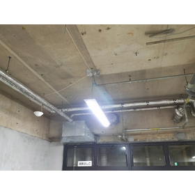 What is a skeleton ceiling? An expl...