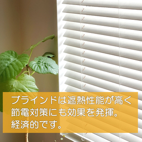 日差しを調整し快適空間！涼しさと省エネを叶えるブラインド