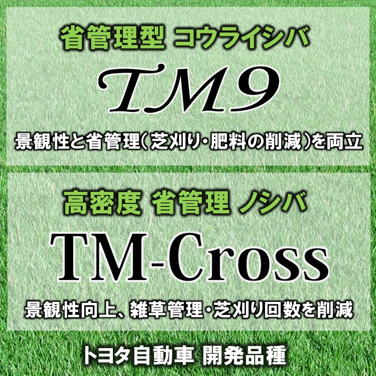 高い景観性を省管理で維持できる芝生：トヨタ自動車 開発品種