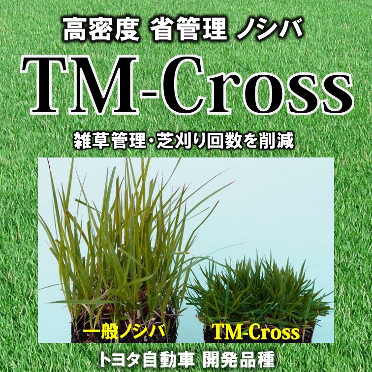 高い景観性を省管理で維持できる芝生：トヨタ自動車 開発品種 トヨタ