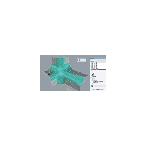 xNURBS.jpg