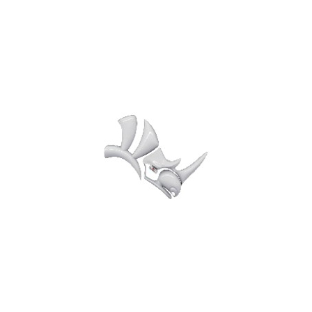 Rhinoceros1.jpg