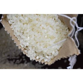 お米由来の樹脂 「ライスレジン」