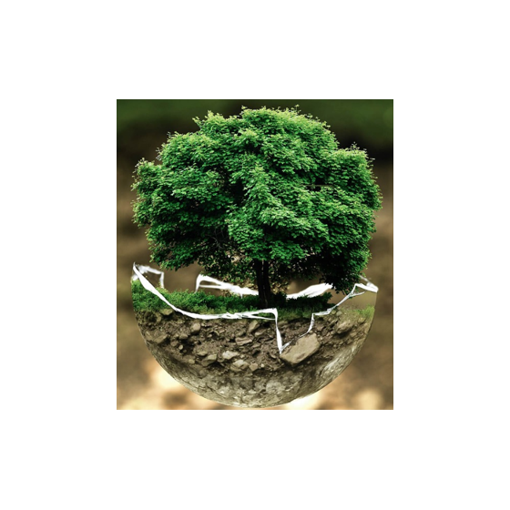 画像1.png