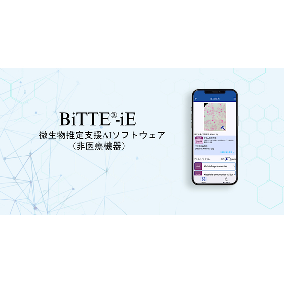 BiTTE-iE1.jpg