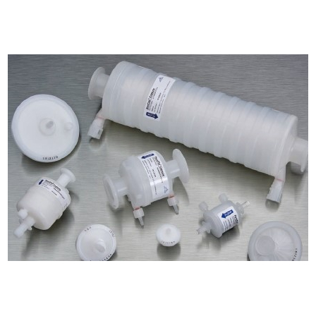 PTFEカプセル『PureFlo PTFE』1.jpg