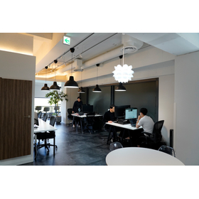 New Business Development Sales Outs...