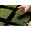 Hishidai Tea Co., Ltd. Company Introduction