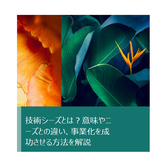 技術シーズ.png