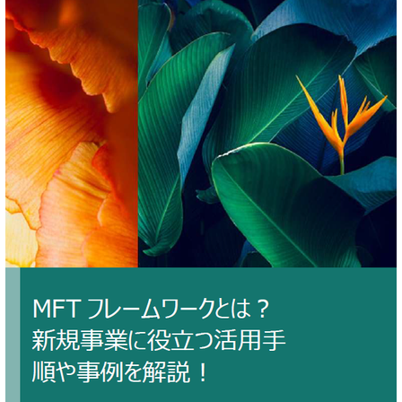 MFTフレームワーク.png