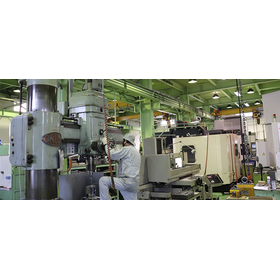 MCM Corporation Business Introducti...