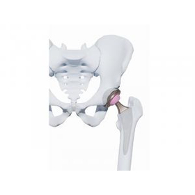 Nakashima Health Force Co., Ltd.