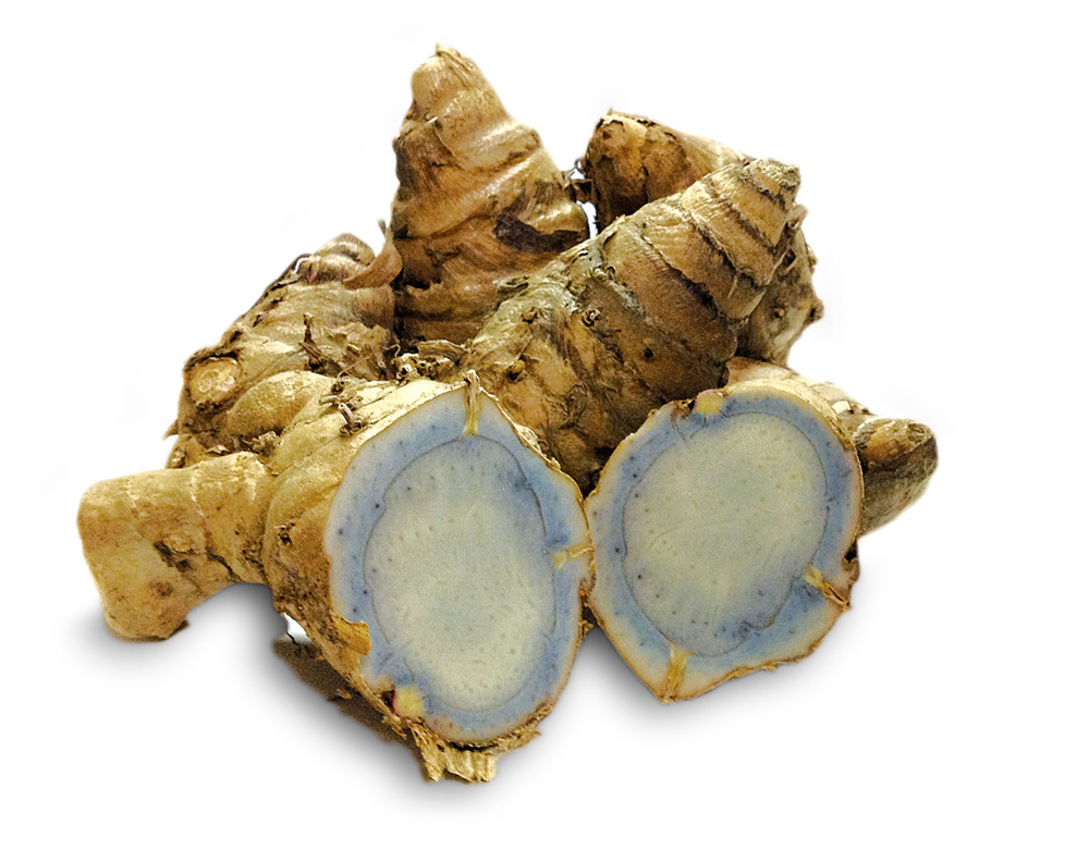 【スパ・エステ向け】屋久島・種子島産ガジュツ粉末/乾燥チップ