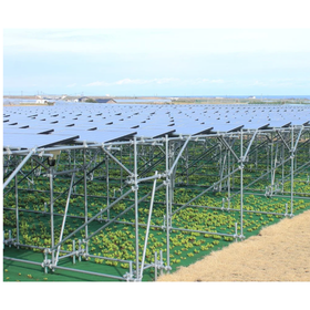 物流現場の省エネ改革は産業用自家消費太陽光から