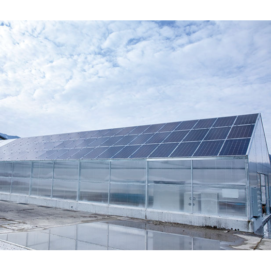 スクリーンショット 2025-09-12 16.26.38.png