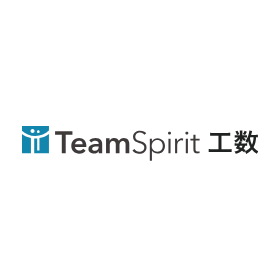 TeamSpirit man-hours product image