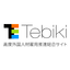 Comprehensive Site for Promoting the Employment of Highly Skilled Foreign Professionals 'Tebiki'