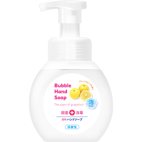 【医薬部外品】第一石鹸　薬用泡ハンドソープ　本体 250ml 【