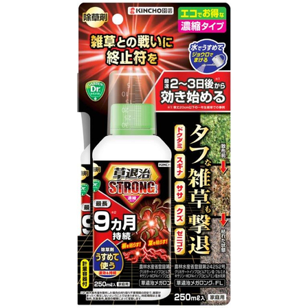 552001.jpg