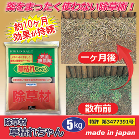 除草材「草枯れちゃん」5kg