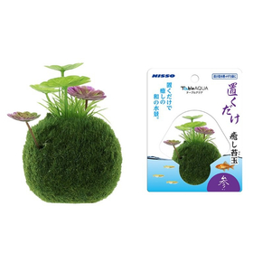 マルカン　ニッソー　テーブルアクア置くだけ癒苔玉　参 NAP-5