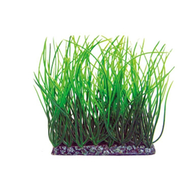 マルカン　ニッソー　アクアティックプランツ　前景　Ｌ－３ NAP